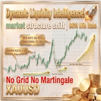 MQL5 publisher cover for Dynamic Liquidity Intelligence